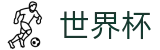 2026FIFA世界杯_专业赛事平台